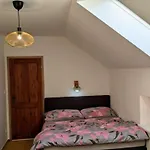 Guest house U Rybnika Strehom 3*