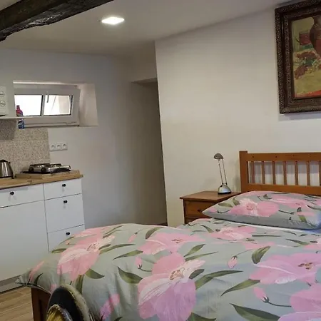 U Rybnika Strehom Guest house