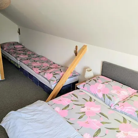 U Rybnika Strehom Vendégház