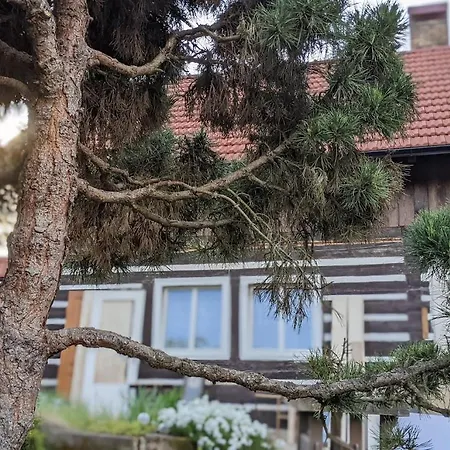 Guest house U Rybnika Strehom *