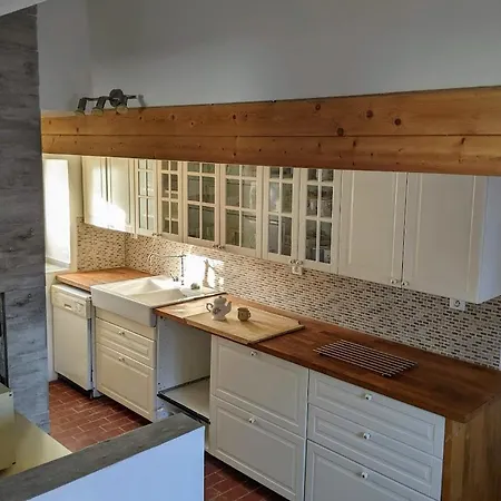 Pensionat U Rybnika Strehom Dolní Bousov