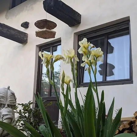 U Rybnika Strehom Dolní Bousov