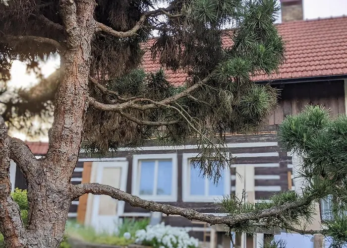 Guest house U Rybnika Strehom 3*